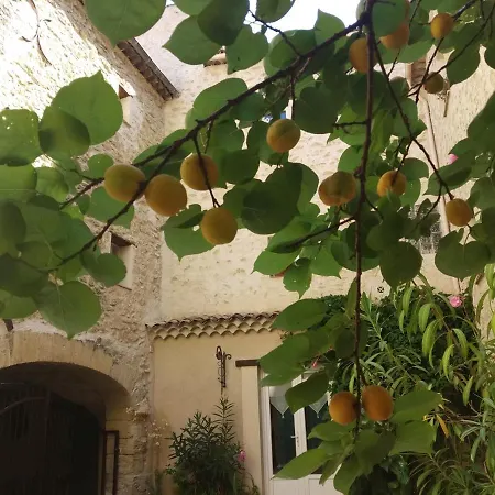 Le Terebinthe Bed & Breakfast *